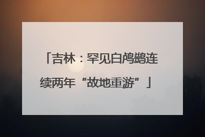 吉林：罕见白鸬鹚连续两年“故地重游”