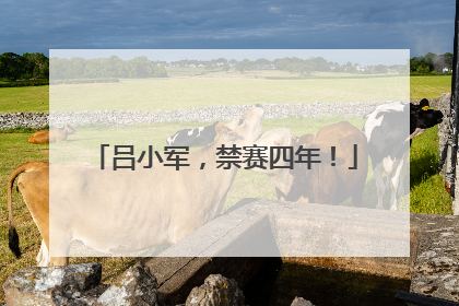 吕小军，禁赛四年！