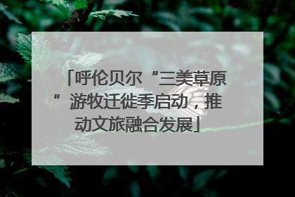 呼伦贝尔“三美草原”游牧迁徙季启动，推动文旅融合发展
