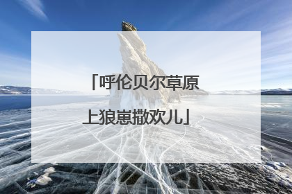 呼伦贝尔草原上狼崽撒欢儿