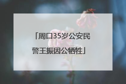 周口35岁公安民警王振因公牺牲