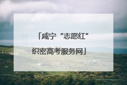 咸宁“志愿红”织密高考服务网