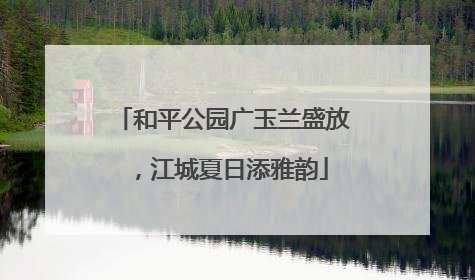 和平公园广玉兰盛放，江城夏日添雅韵