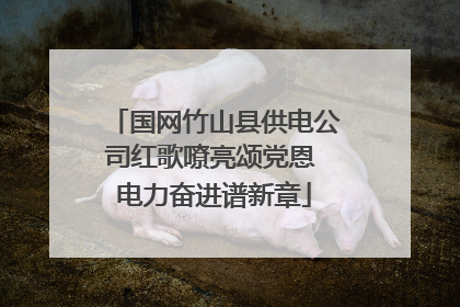 国网竹山县供电公司红歌嘹亮颂党恩 电力奋进谱新章