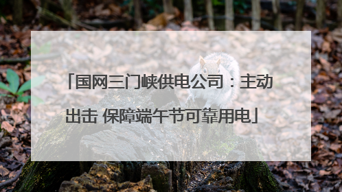 国网三门峡供电公司：主动出击 保障端午节可靠用电
