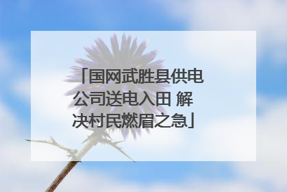 国网武胜县供电公司送电入田 解决村民燃眉之急