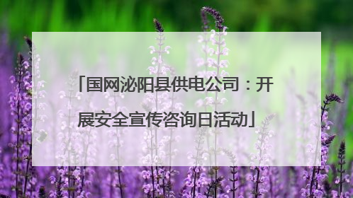 国网泌阳县供电公司：开展安全宣传咨询日活动