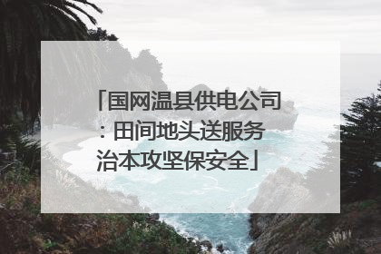 国网温县供电公司：田间地头送服务 治本攻坚保安全