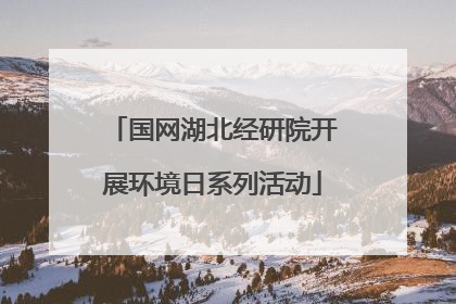 国网湖北经研院开展环境日系列活动