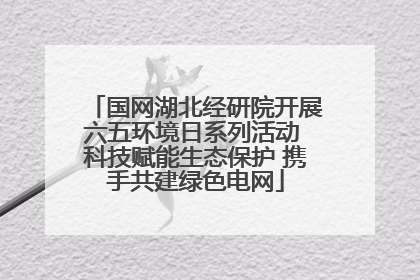 国网湖北经研院开展六五环境日系列活动 科技赋能生态保护 携手共建绿色电网