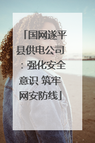 国网遂平县供电公司：强化安全意识 筑牢网安防线