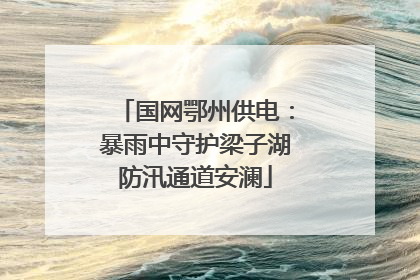 国网鄂州供电：暴雨中守护梁子湖防汛通道安澜