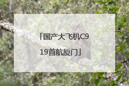 国产大飞机C919首航厦门