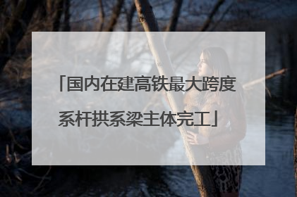 国内在建高铁最大跨度系杆拱系梁主体完工