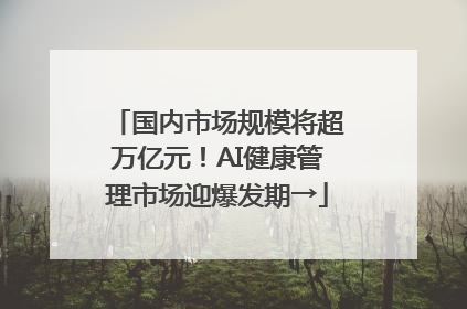 国内市场规模将超万亿元！AI健康管理市场迎爆发期→