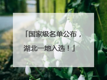 国家级名单公布，湖北一地入选！