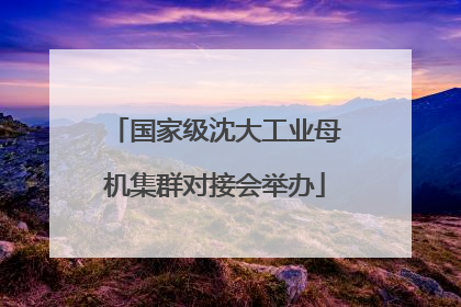 国家级沈大工业母机集群对接会举办