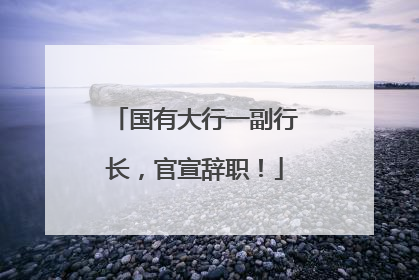 国有大行一副行长，官宣辞职！