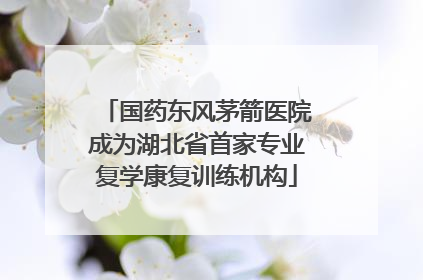 国药东风茅箭医院成为湖北省首家专业复学康复训练机构