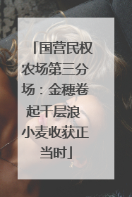 国营民权农场第三分场：金穗卷起千层浪 小麦收获正当时