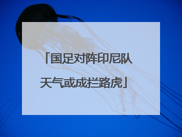 国足对阵印尼队 天气或成拦路虎