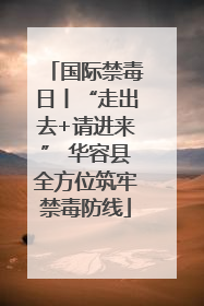 国际禁毒日丨“走出去+请进来” 华容县全方位筑牢禁毒防线