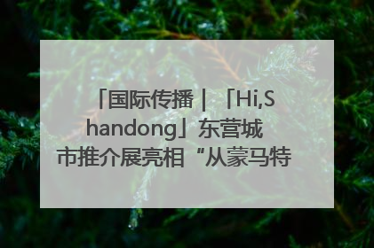 国际传播｜「Hi,Shandong」东营城市推介展亮相“从蒙马特到加里波第”文化节