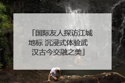 国际友人探访江城地标 沉浸式体验武汉古今交融之美