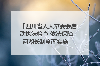四川省人大常委会启动执法检查 依法保障河湖长制全面实施