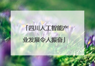 四川人工智能产业发展令人振奋