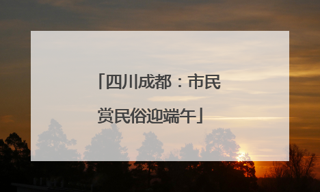 四川成都：市民赏民俗迎端午