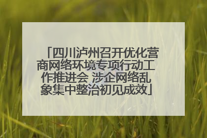 四川泸州召开优化营商网络环境专项行动工作推进会 涉企网络乱象集中整治初见成效