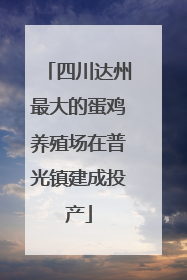 四川达州最大的蛋鸡养殖场在普光镇建成投产