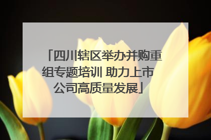 四川辖区举办并购重组专题培训 助力上市公司高质量发展