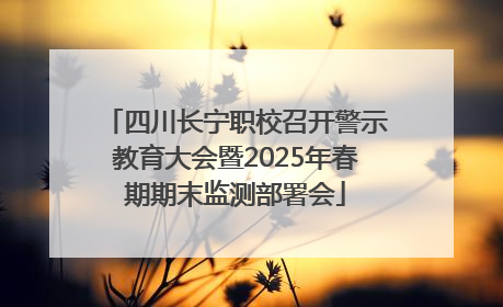 四川长宁职校召开警示教育大会暨2025年春期期末监测部署会