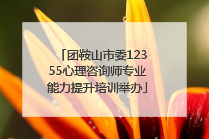 团鞍山市委12355心理咨询师专业能力提升培训举办