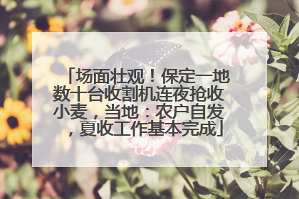 场面壮观！保定一地数十台收割机连夜抢收小麦，当地：农户自发，夏收工作基本完成