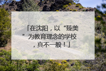 在沈阳，以“臻美”为教育理念的学校，真不一般！