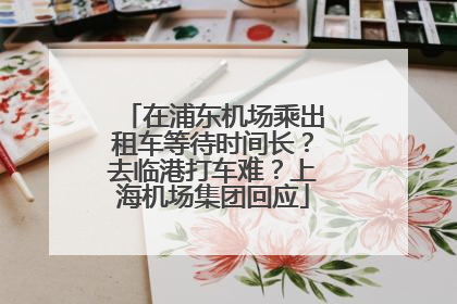 在浦东机场乘出租车等待时间长？去临港打车难？上海机场集团回应