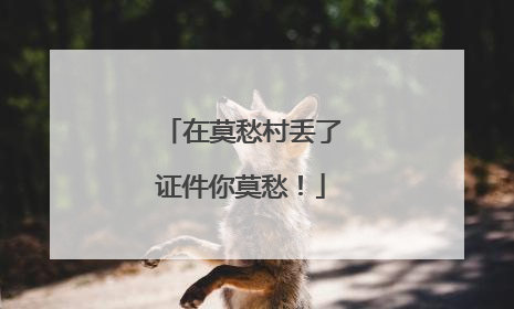 在莫愁村丢了证件你莫愁！