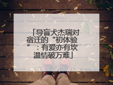 导盲犬杰瑞对宿迁的“初体验”：有爱亦有坎 温情破万难