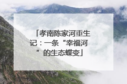 孝南陈家河重生记：一条“幸福河”的生态蝶变