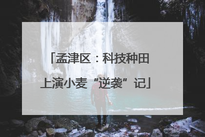 孟津区：科技种田 上演小麦“逆袭”记