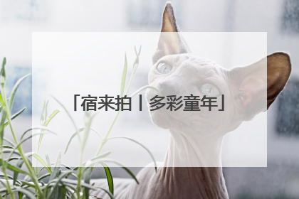宿来拍丨多彩童年