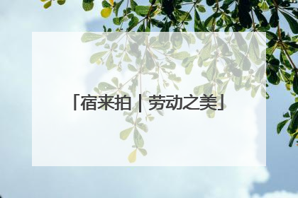 宿来拍｜劳动之美