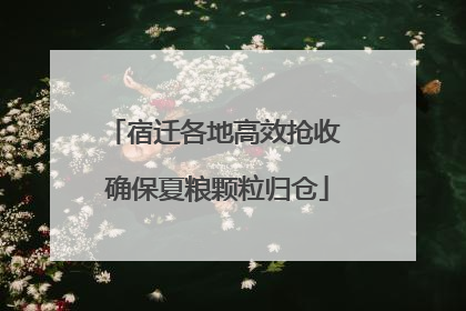 宿迁各地高效抢收 确保夏粮颗粒归仓