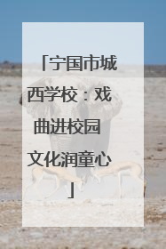 宁国市城西学校：戏曲进校园 文化润童心