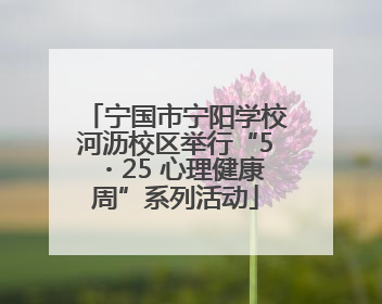 宁国市宁阳学校河沥校区举行“5・25 心理健康周”系列活动