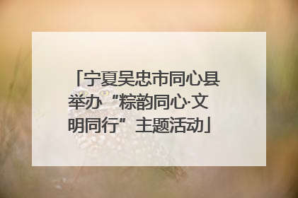 宁夏吴忠市同心县举办“粽韵同心·文明同行”主题活动