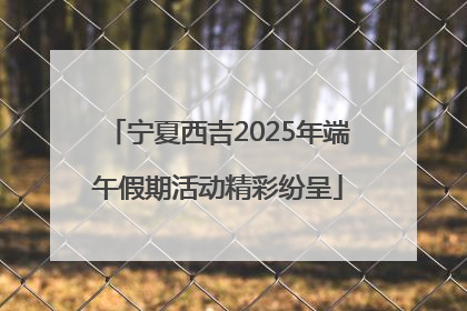 宁夏西吉2025年端午假期活动精彩纷呈